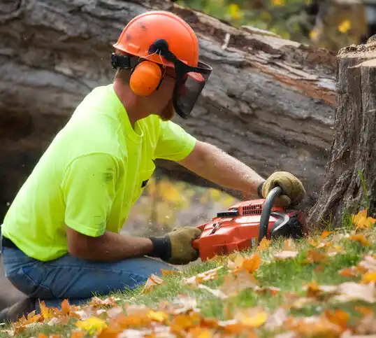 tree services Killona